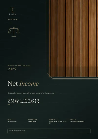 The cover of a Tezeka Net Income report. Demo data.